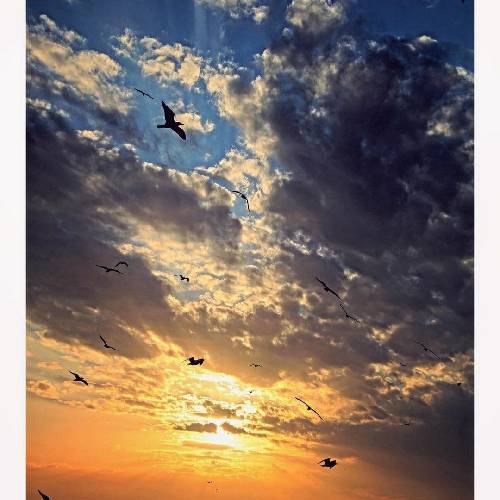 من از کف کوچه های خاکی سبز شدم پس ندارم از هیچ کسی